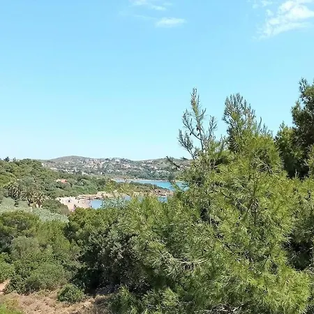 Villa Dea Del Mare Complex In Front Of The Sea. Kap Kap Sounion Exterior foto