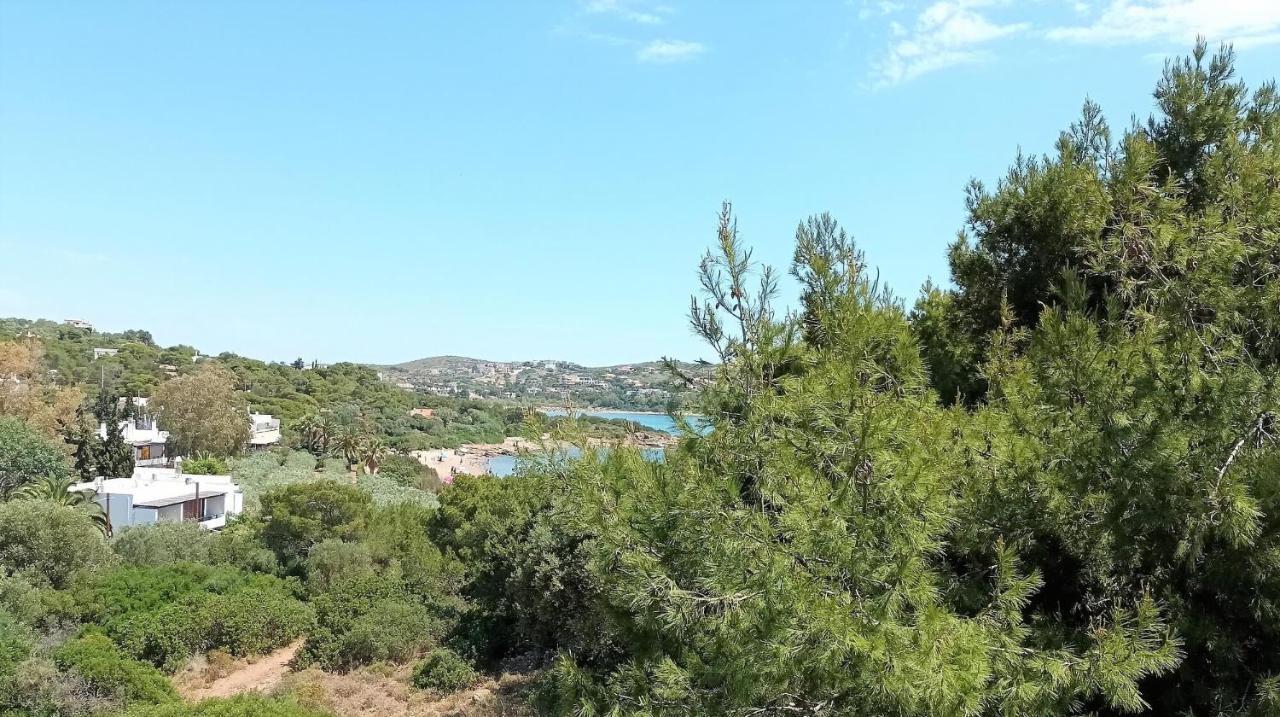Dea Del Mare Complex In Front Of The Sea. Vilă Sounion